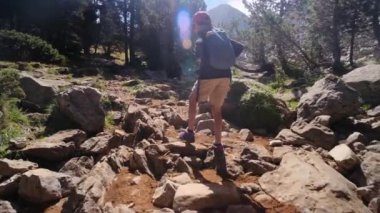 7 yaşındaki bir çocuk yaz boyunca ulusal parkta yürür.