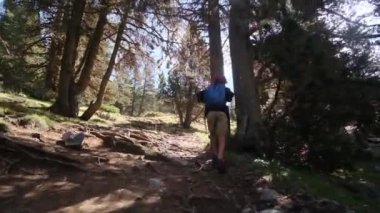 7 yaşındaki bir çocuk yaz boyunca ulusal parkta yürür.