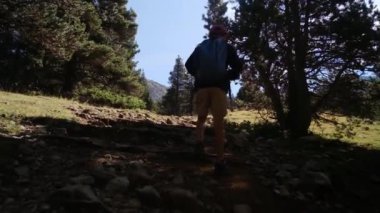 7 yaşındaki bir çocuk yaz boyunca ulusal parkta yürür.