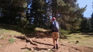 7 yaşındaki bir çocuk yaz boyunca ulusal parkta yürür.