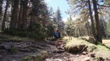 7 yaşındaki bir çocuk yaz boyunca ulusal parkta yürür.