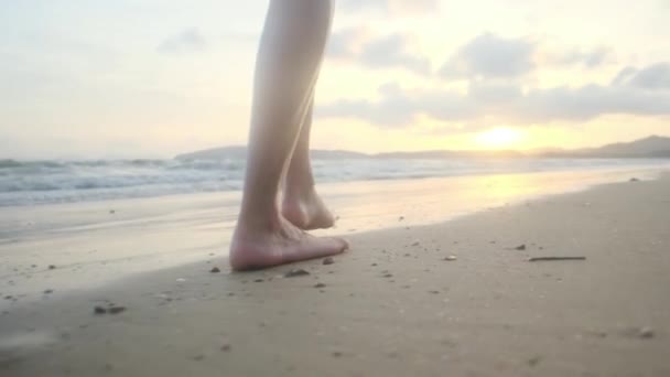 Ноги Ходьба Вода Жіночими Ногами Піску Біля Моря Або Океану — стокове відео