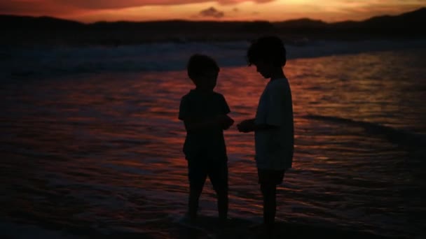 Enfants Bord Mer Coucher Soleil Silhouette Les Enfants Tournent Vers — Video