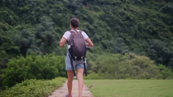 자연의 트레킹 모험과 가능한 여행을 하이킹 야외에서 여행자 — 비디오