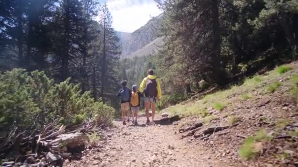 シングルマザーは 国立公園で彼女の5歳と8歳の子供と一緒に自然を楽しんでいます — ストック動画