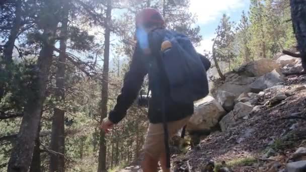 7歳の少年が夏に国立公園を散歩する — ストック動画