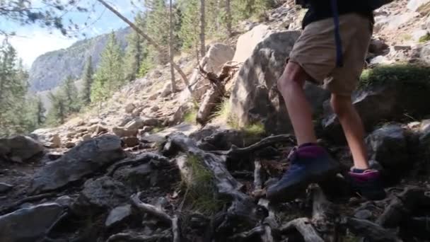 Jarige Jongen Wandelt Zomer Een Nationaal Park — Stockvideo