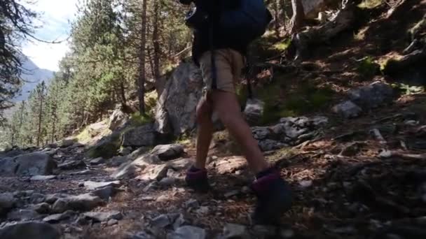 Yaşındaki Bir Çocuk Yaz Boyunca Ulusal Parkta Yürür — Stok video