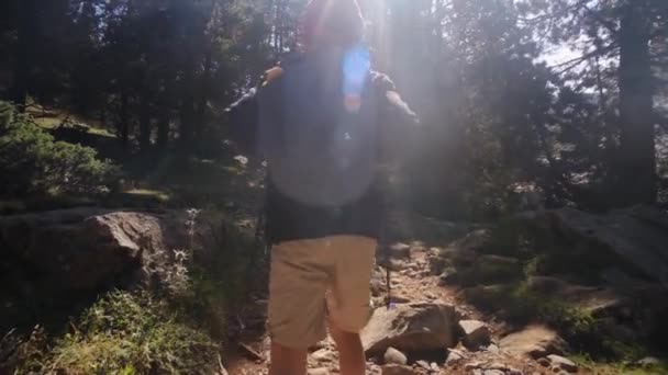 Éves Fiú Sétál Nemzeti Parkban Nyáron — Stock videók