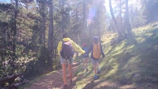 シングルマザーは 国立公園で彼女の5歳と8歳の子供と一緒に自然を楽しんでいます — ストック動画