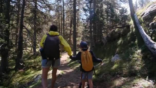 Egyedülálló Anya Élvezi Természet Kirándulást Éves Gyerekekkel Nemzeti Parkban — Stock videók