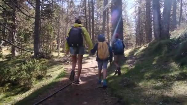 Ensamstående Mor Njuter Naturutflykt Med Sina Och Åriga Barn Nationalparken — Stockvideo
