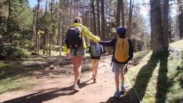 Мати Одиначка Насолоджується Природою Ятьма Річними Дітьми Національному Парку — стокове відео