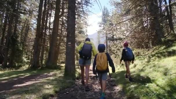 在国家公园 单身母亲与5岁和8岁的孩子们一起享受大自然之旅 — 图库视频影像
