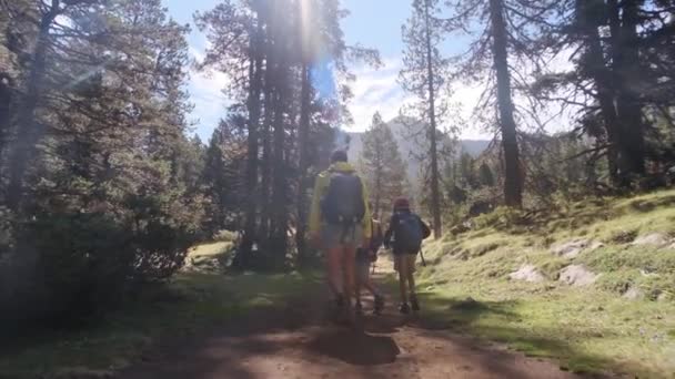 Ensamstående Mor Njuter Naturutflykt Med Sina Och Åriga Barn Nationalparken — Stockvideo
