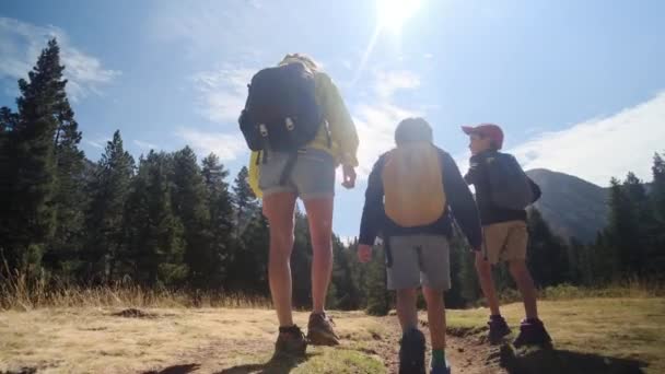 Madre Soltera Disfrutando Una Excursión Por Naturaleza Con Sus Hijos — Vídeo de stock