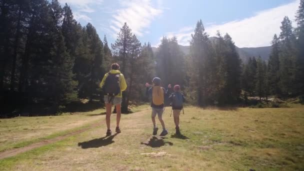 Madre Soltera Disfrutando Una Excursión Por Naturaleza Con Sus Hijos — Vídeo de stock