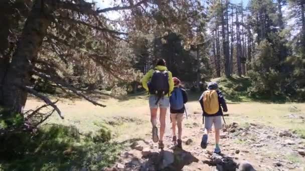 Svobodná Matka Užívá Výlet Přírody Svými Letými Dětmi Národním Parku — Stock video
