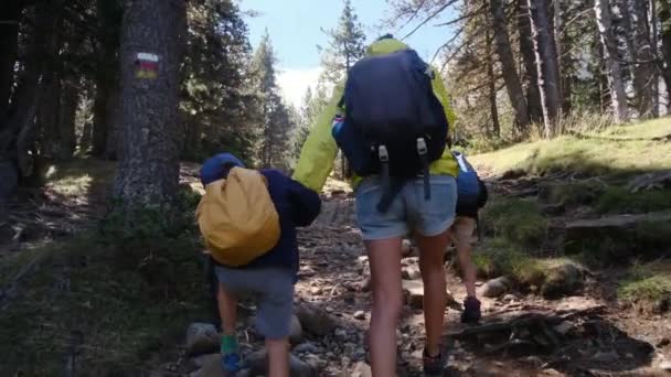 Samotna Matka Ciesząca Się Wycieczką Letnimi Dziećmi Parku Narodowym — Wideo stockowe