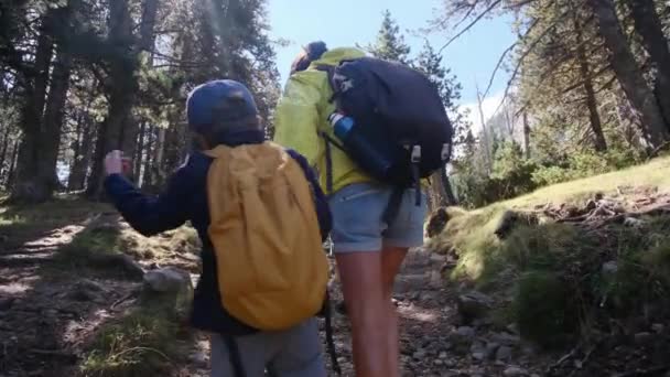 Svobodná Matka Užívá Výlet Přírody Svými Letými Dětmi Národním Parku — Stock video