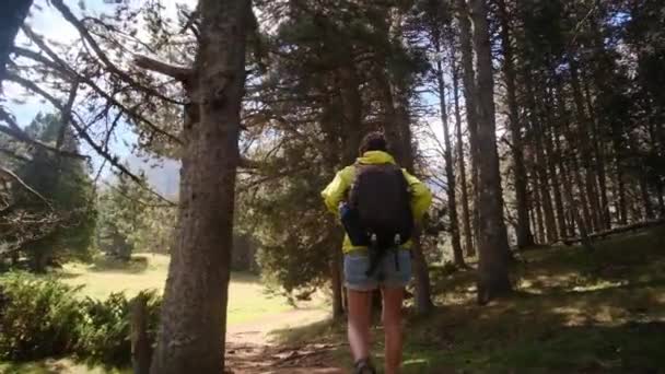 Kobieta Turystyka Plecak Górach Dla Wolności Przyrody Krajobrazu Trekking Przygoda — Wideo stockowe