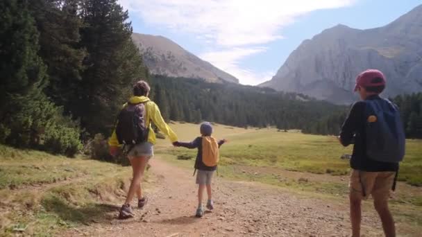 在国家公园 单身母亲与5岁和8岁的孩子们一起享受大自然之旅 — 图库视频影像