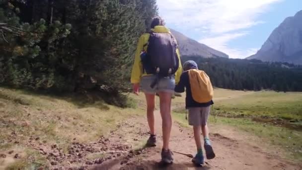 Samotna Matka Ciesząca Się Wycieczką Letnimi Dziećmi Parku Narodowym — Wideo stockowe