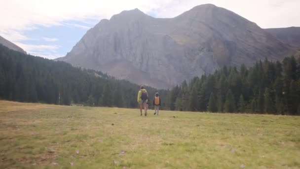 Ibu Muda Aktif Dengan Anak Anaknya Mendaki Pegunungan — Stok Video