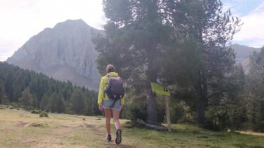 Kadın, doğa özgürlüğü, kırsal yürüyüş macerası ve sürdürülebilir seyahat için dağda yürüyüş ve sırt çantasıyla geziyor. Dağda tek başına yürüyen bir kadın gezgin.