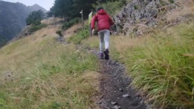 Küçük bir çocuğun yaz boyunca ulusal bir parkta yürüyüşünün arkası.