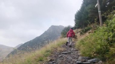 Küçük bir çocuğun yaz boyunca ulusal bir parkta yürüyüşünün arkası.