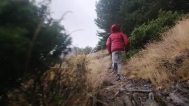 Küçük bir çocuğun yaz boyunca ulusal bir parkta yürüyüşünün arkası.