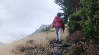 Küçük bir çocuğun yaz boyunca ulusal bir parkta yürüyüşünün arkası.