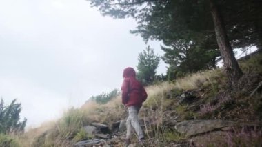 Küçük bir çocuğun yaz boyunca ulusal bir parkta yürüyüşünün arkası.