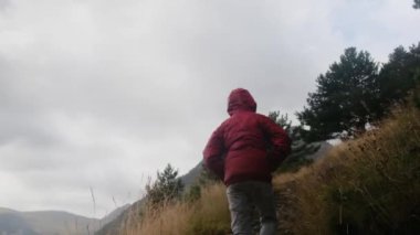 Küçük bir çocuğun yaz boyunca ulusal bir parkta yürüyüşünün arkası.