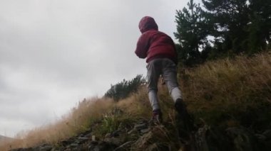 Küçük bir çocuğun yaz boyunca ulusal bir parkta yürüyüşünün arkası.