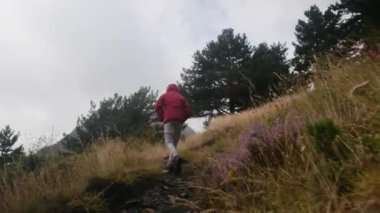 Küçük bir çocuğun yaz boyunca ulusal bir parkta yürüyüşünün arkası.