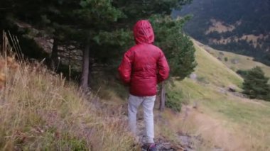 Küçük bir çocuğun yaz boyunca ulusal bir parkta yürüyüşünün arkası.