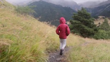 Küçük bir çocuğun yaz boyunca ulusal bir parkta yürüyüşünün arkası.