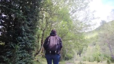 Verdant Forest Wonderland 'daki Şelaleler' in Huzur Yolculuğu. Büyüleyici bir ormanda, şelalenin huzur verici sesleri eşliğinde bir kadının huzur dolu yolculuğuna katılın.