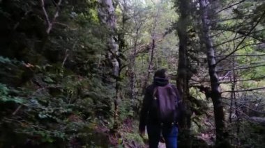 Verdant Forest Wonderland 'daki Şelaleler' in Huzur Yolculuğu. Büyüleyici bir ormanda, şelalenin huzur verici sesleri eşliğinde bir kadının huzur dolu yolculuğuna katılın.