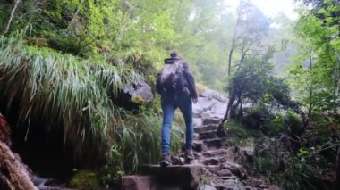 Verdant Forest Wonderland 'daki Şelaleler' in Huzur Yolculuğu. Büyüleyici bir ormanda, şelalenin huzur verici sesleri eşliğinde bir kadının huzur dolu yolculuğuna katılın.