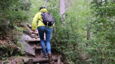 Verdant Forest Wonderland 'daki Şelaleler' in Huzur Yolculuğu. Büyüleyici bir ormanda, şelalenin huzur verici sesleri eşliğinde bir kadının huzur dolu yolculuğuna katılın.