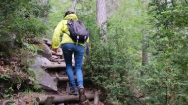 Verdant Forest Wonderland 'daki Şelaleler' in Huzur Yolculuğu. Büyüleyici bir ormanda, şelalenin huzur verici sesleri eşliğinde bir kadının huzur dolu yolculuğuna katılın.