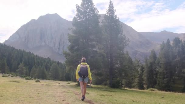 Mujer Senderismo Mochilero Montaña Para Libertad Naturaleza Aventura Senderismo Rural — Vídeo de stock