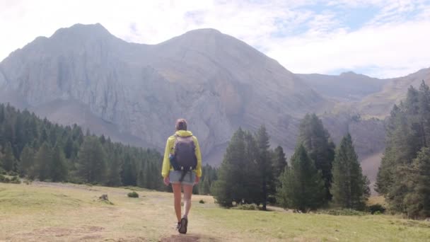自然の自由 田舎トレッキングアドベンチャー 持続可能な旅行のための山での女性 ハイキング バックパッキング 一人でアウトドアを歩く山の女性旅行者 — ストック動画
