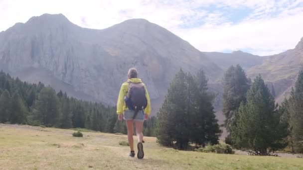 自然の自由 田舎トレッキングアドベンチャー 持続可能な旅行のための山での女性 ハイキング バックパッキング 一人でアウトドアを歩く山の女性旅行者 — ストック動画