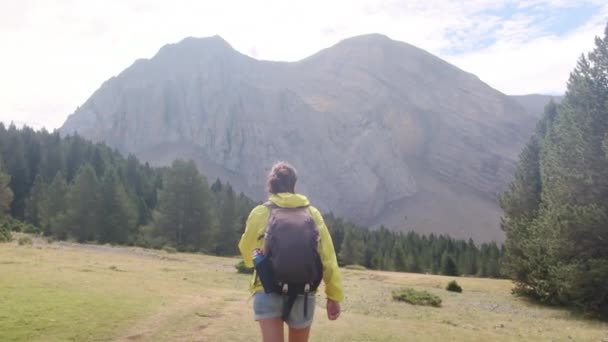 Mujer Senderismo Mochilero Montaña Para Libertad Naturaleza Aventura Senderismo Rural — Vídeos de Stock