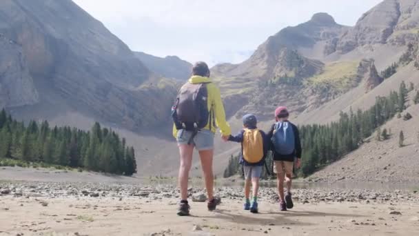 Joven Madre Activa Con Sus Hijos Haciendo Senderismo Las Montañas — Vídeo de stock