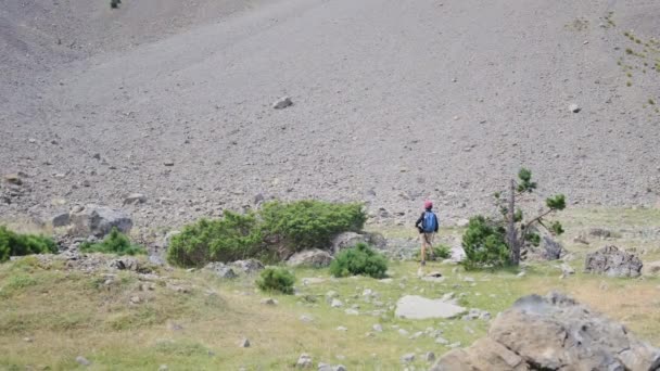 可爱的小男孩在山上远足 — 图库视频影像